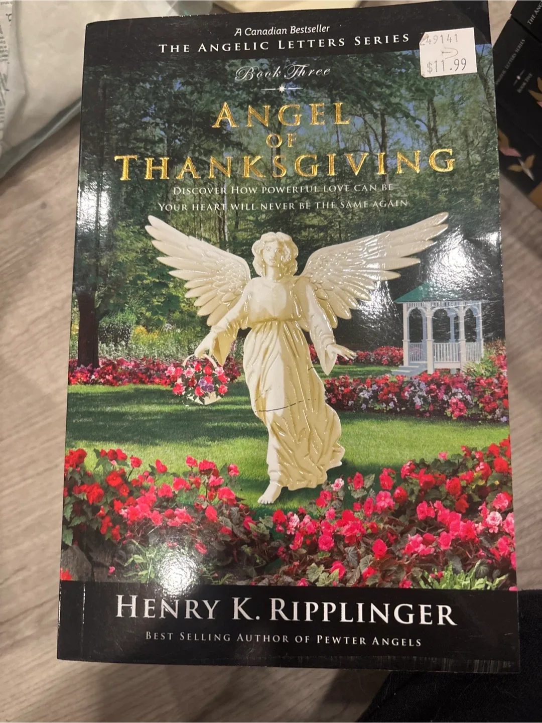 The Angelic Letters Series by Henry K. Ripplinger image indicator(4)