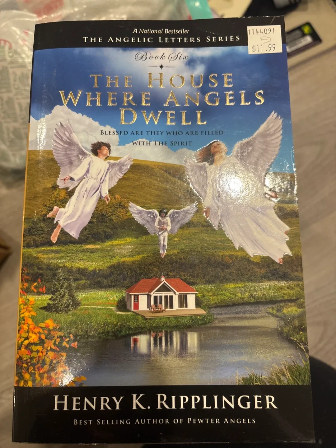 The Angelic Letters Series by Henry K. Ripplinger image indicator(7)