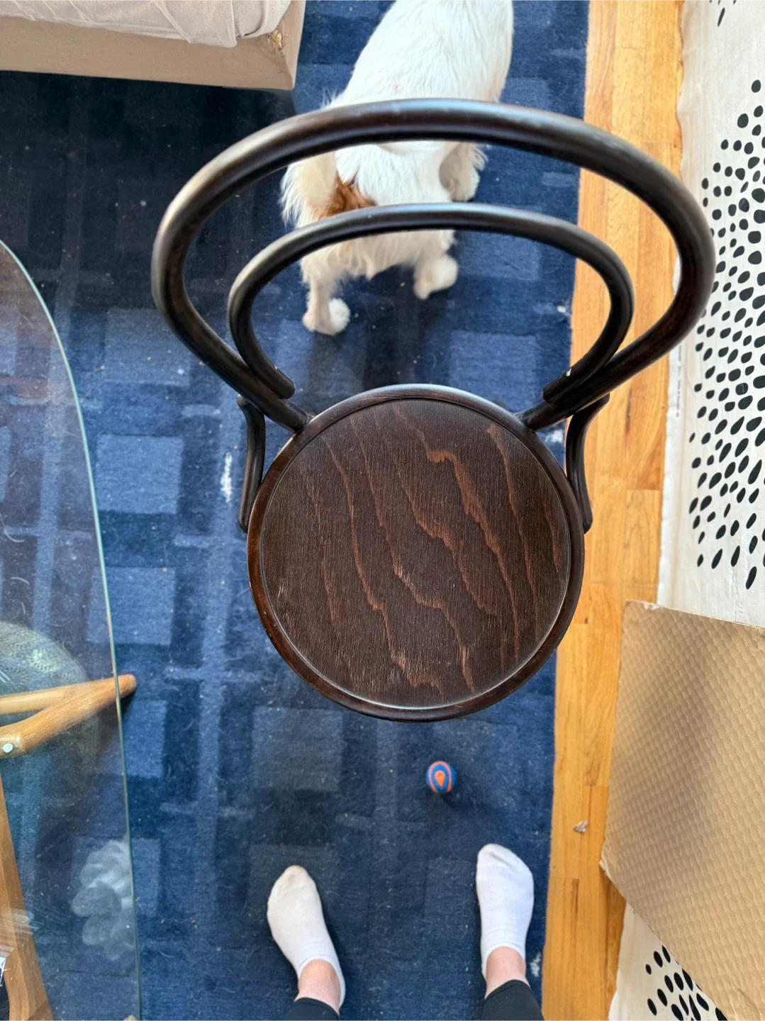 Thonet No 14 Vintage Bentwood Chair image indicator(5)