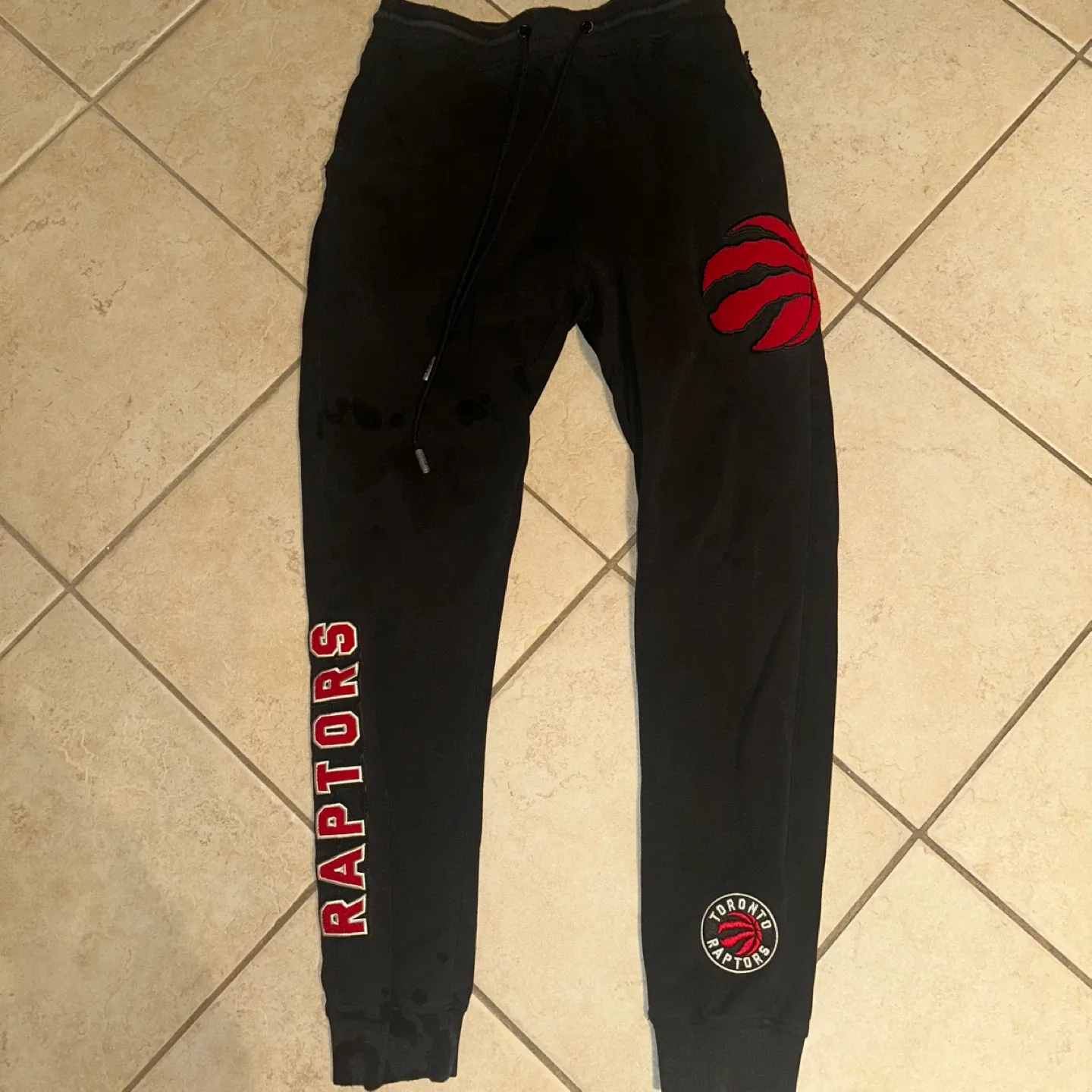 Toronto Raptors Pro Standard Joggers image indicator(2)