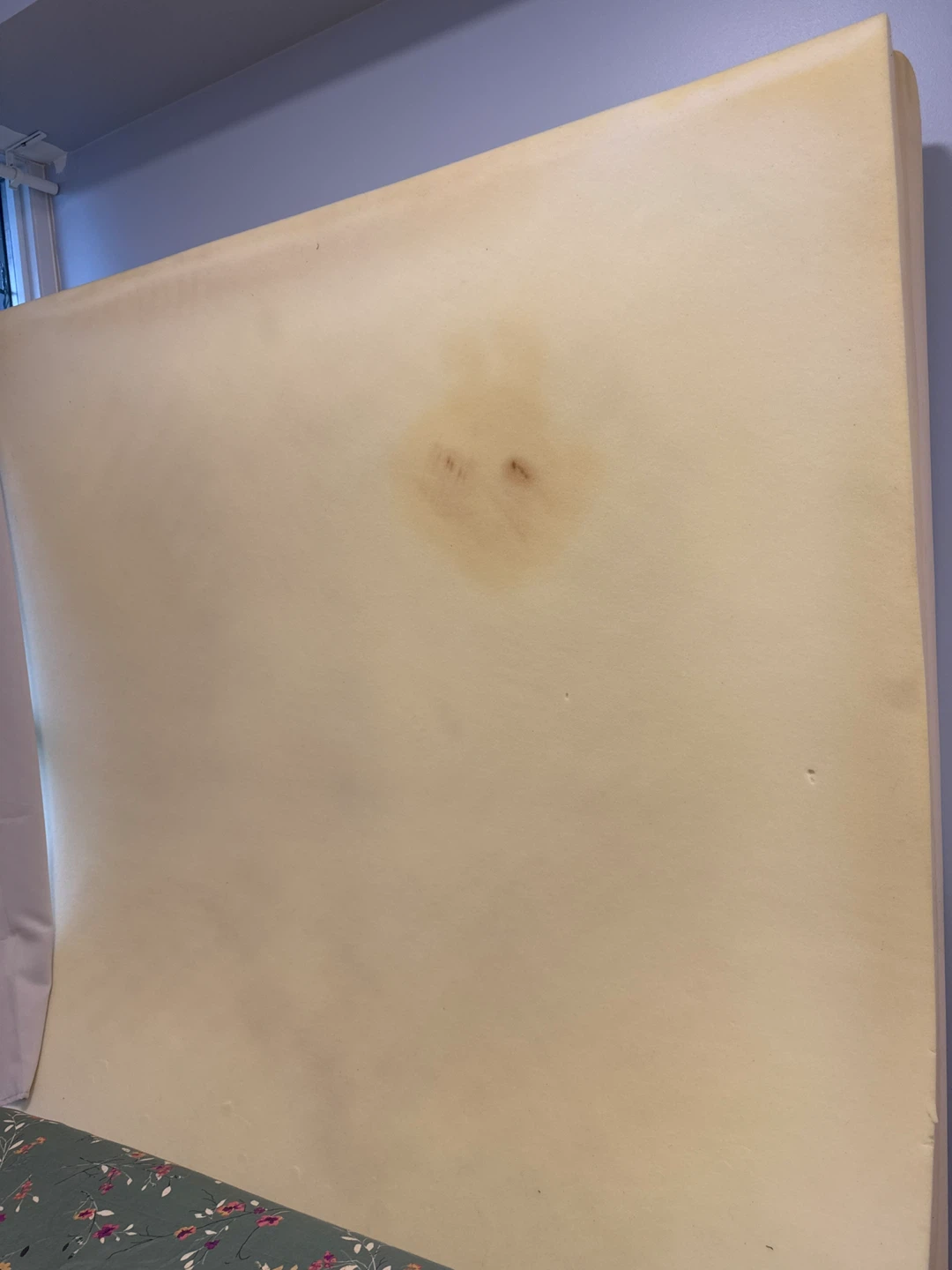 Foam Mattress Topper
