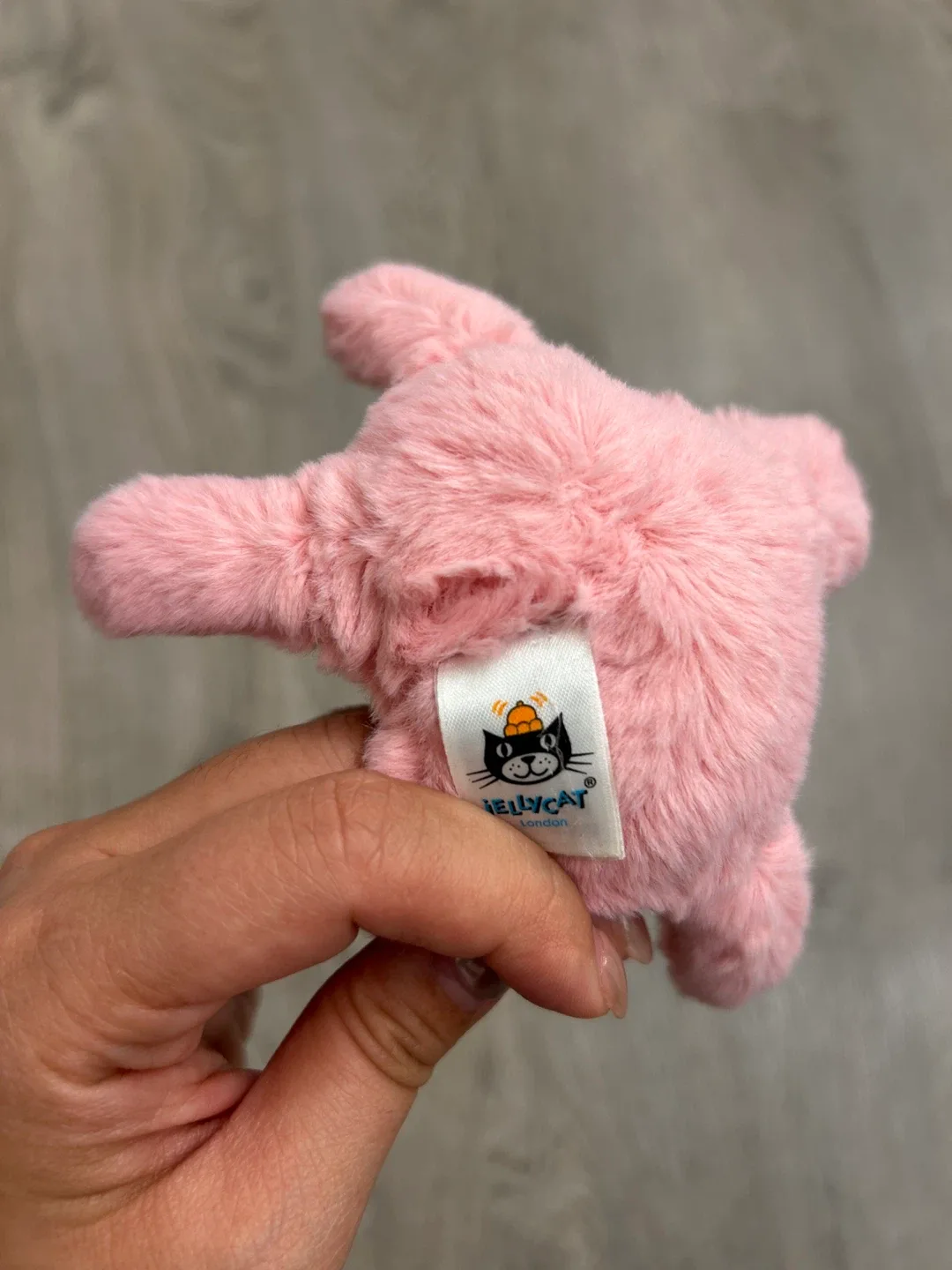 🥕Jellycat Fluffy Starfish 🧸 image indicator(4)