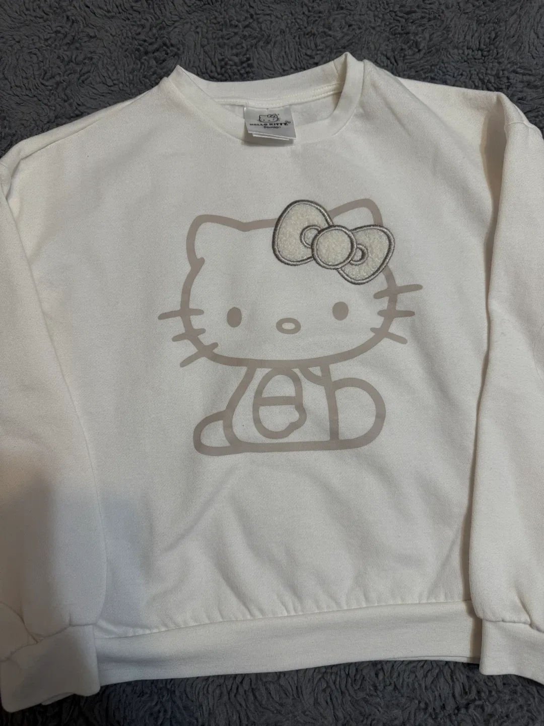 Champion & Sanrio Hoodies/Sweaters - Size M image indicator(2)