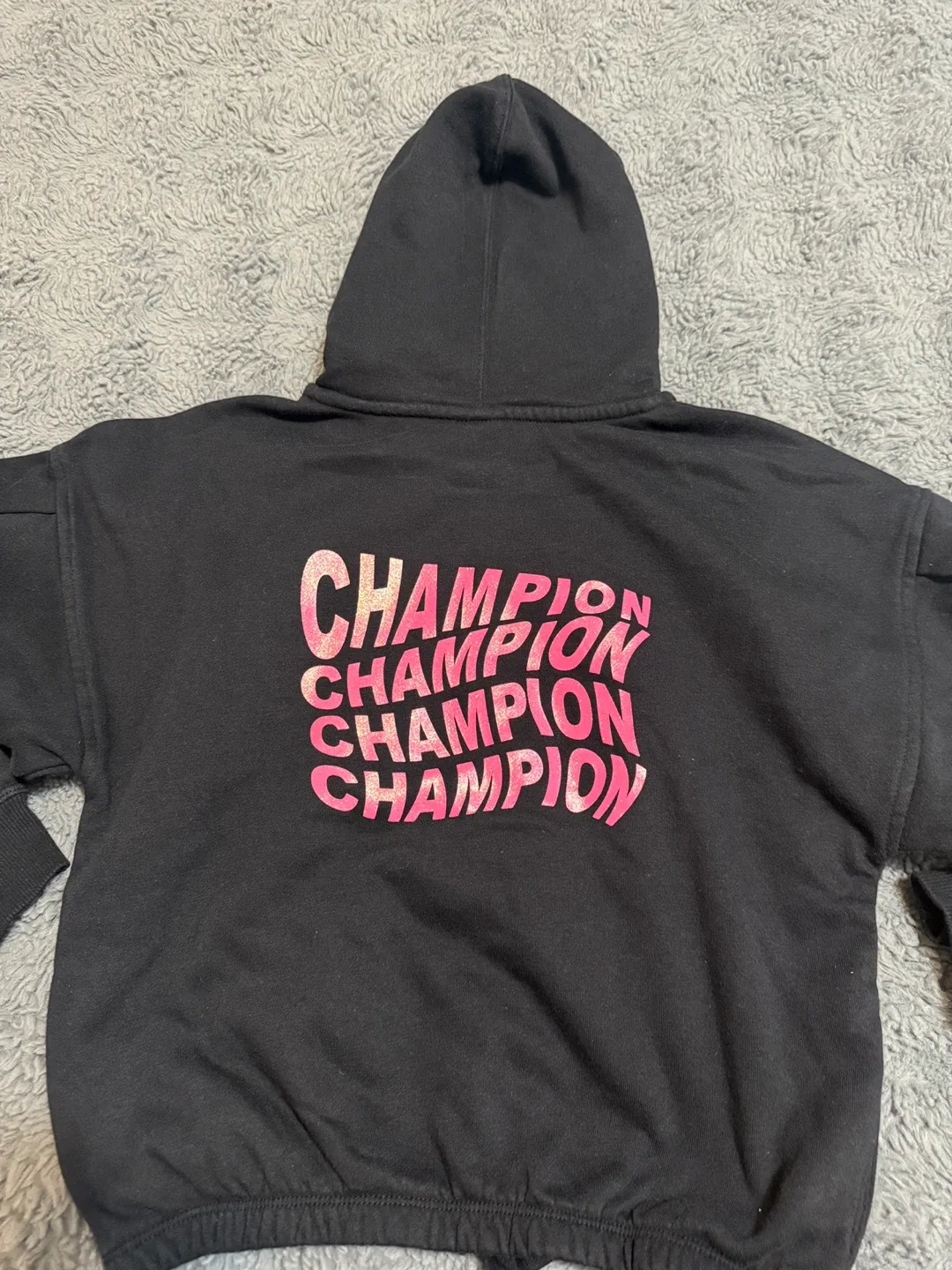 Champion & Sanrio Hoodies/Sweaters - Size M image indicator(5)