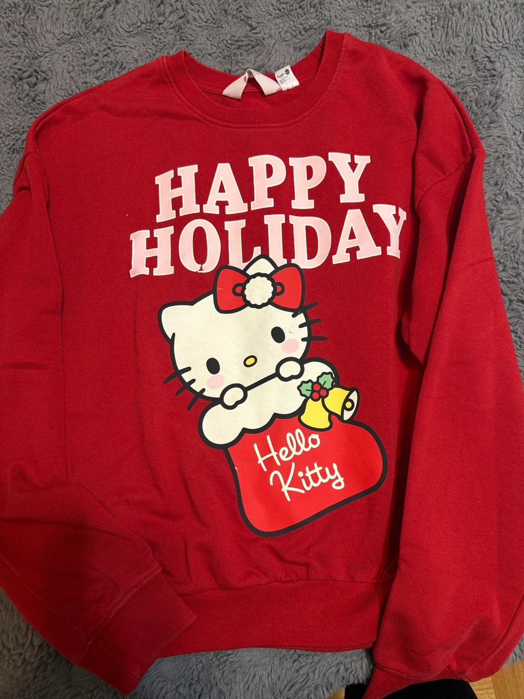 Champion & Sanrio Hoodies/Sweaters - Size M image indicator(8)