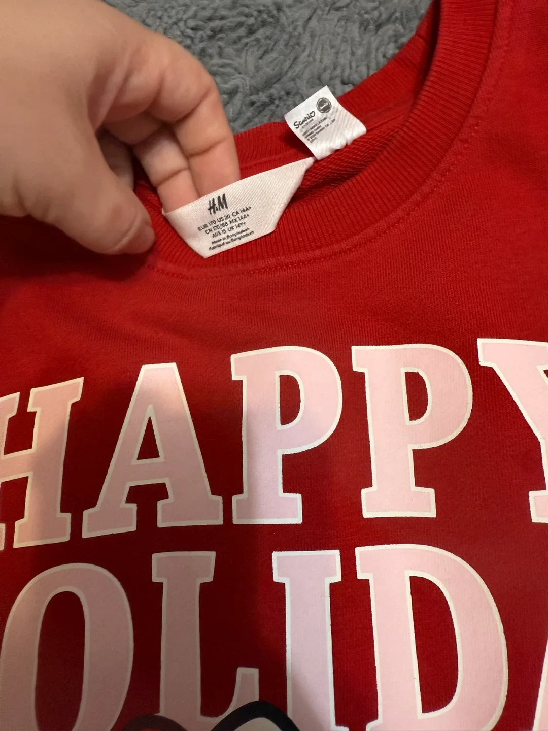 Champion & Sanrio Hoodies/Sweaters - Size M image indicator(9)