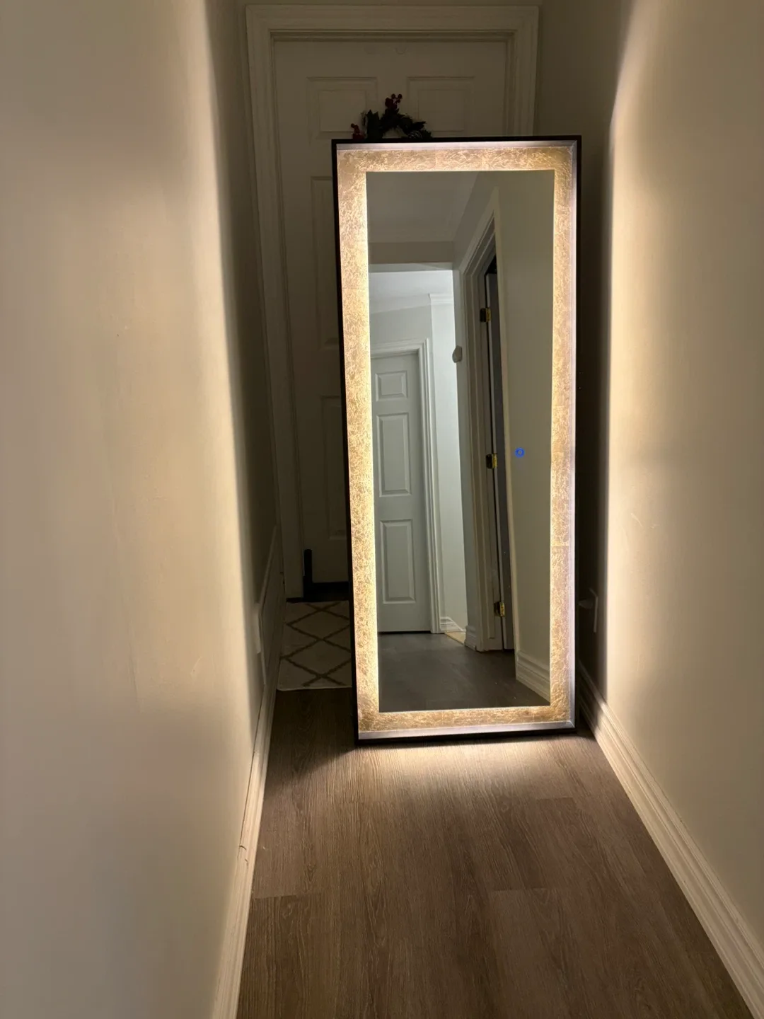 RARE FIND! Eurofase Luxury LED Lighted Full Length Mirror image indicator(3)