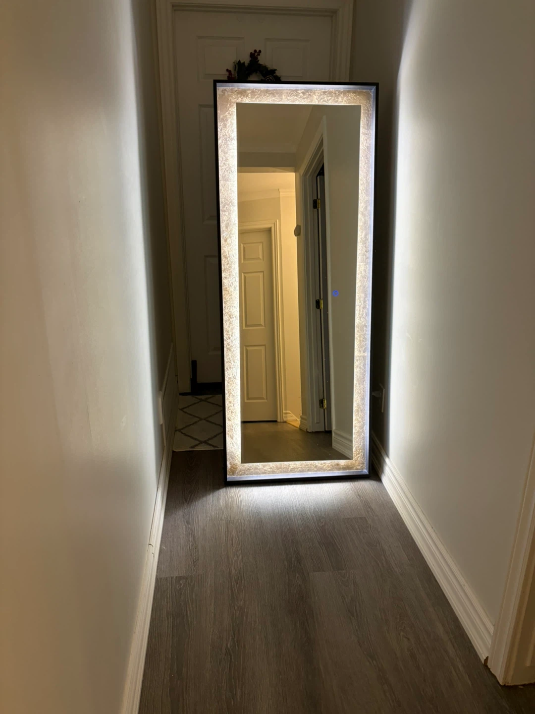 RARE FIND! Eurofase Luxury LED Lighted Full Length Mirror - photo 4