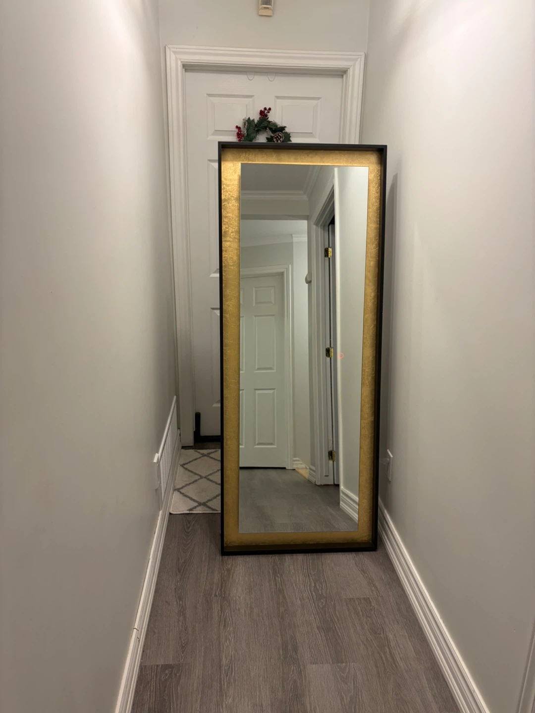 RARE FIND! Eurofase Luxury LED Lighted Full Length Mirror