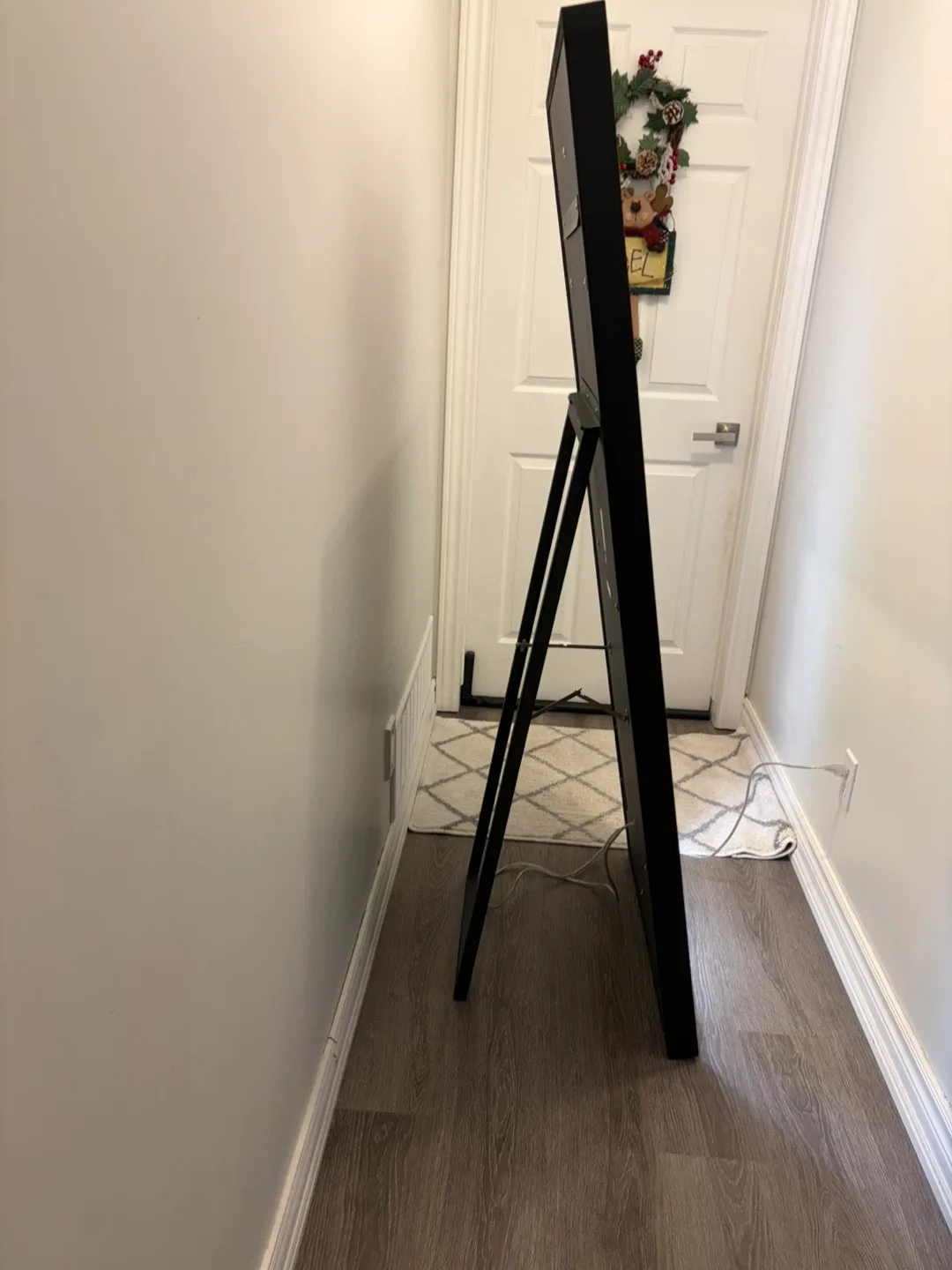 RARE FIND! Eurofase Luxury LED Lighted Full Length Mirror image indicator(5)