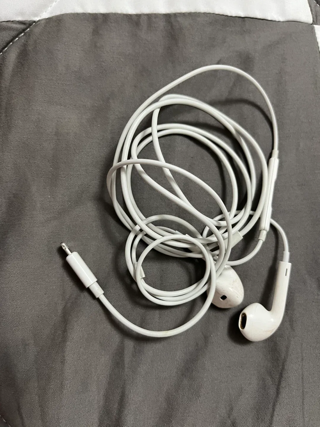 Apple EarPods Lightning Connector🥕 thumbnail