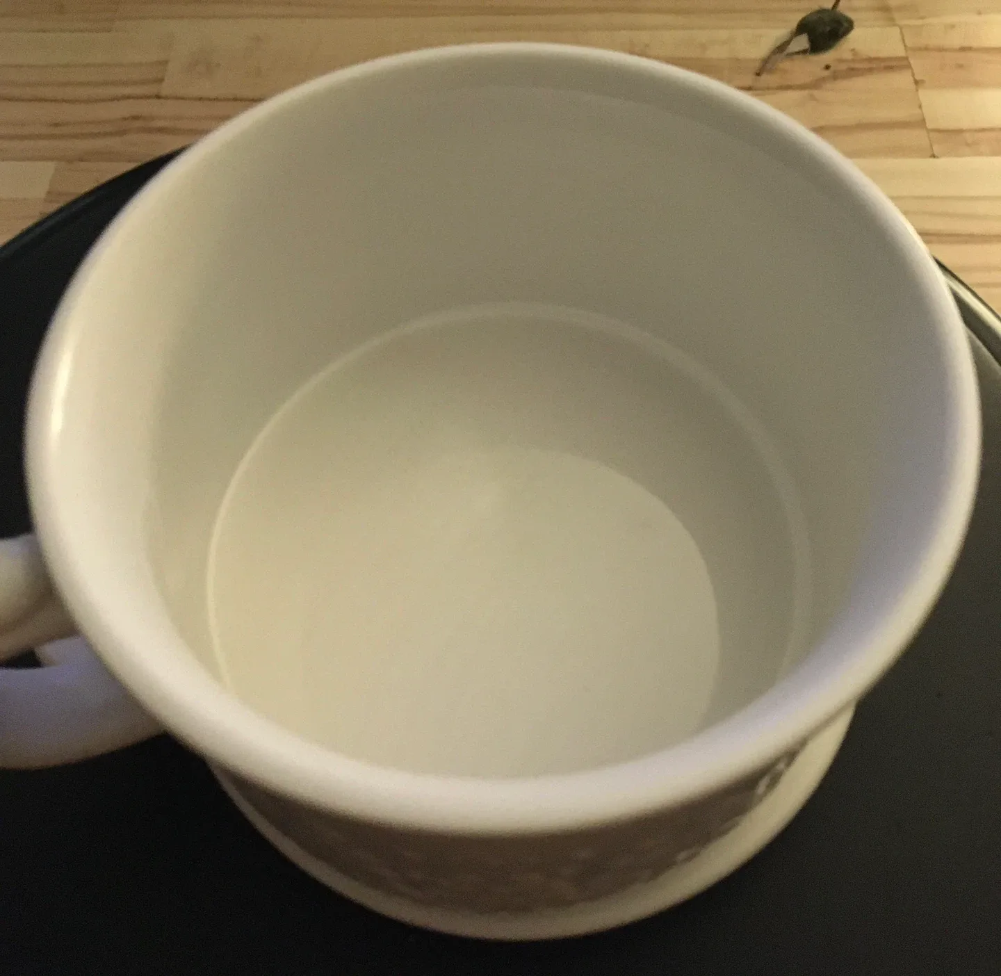 temptations Seasonal 25 OZ Mug image indicator(2)