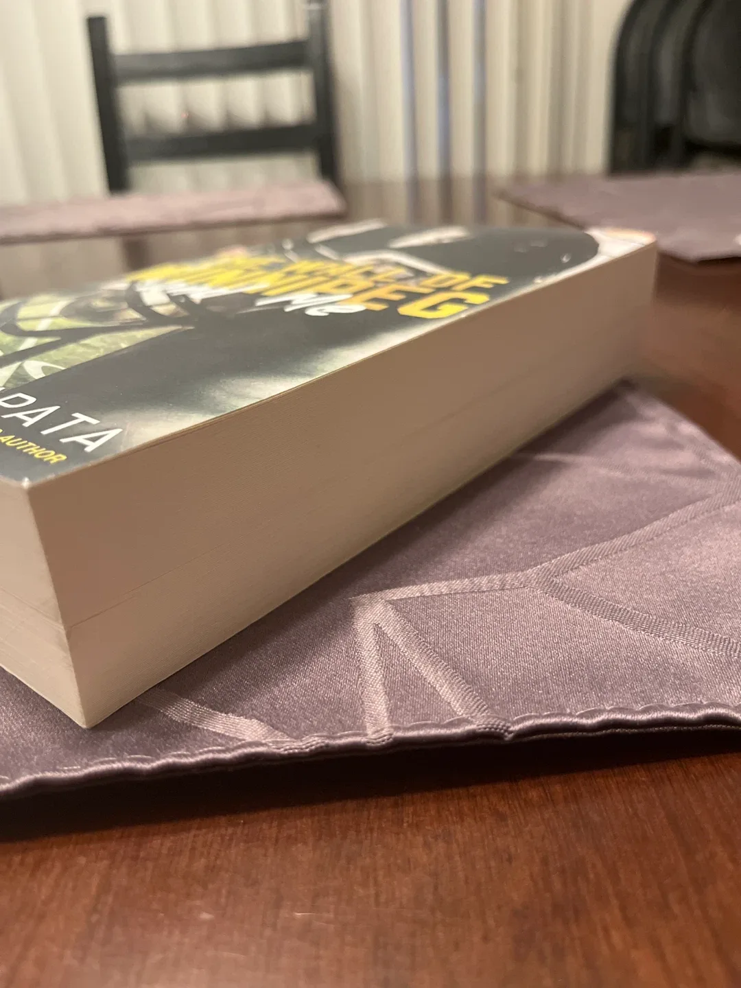 Book - The Wall of Winnipeg and Me by Mariana Zapata image indicator(2)