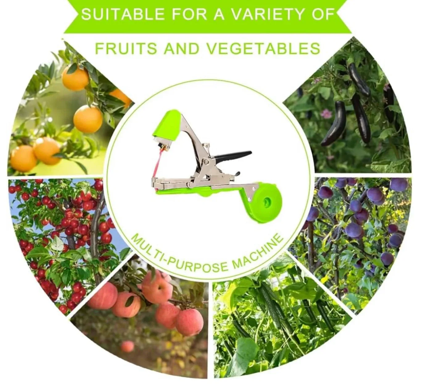 Plant Tying Machine image indicator(2)