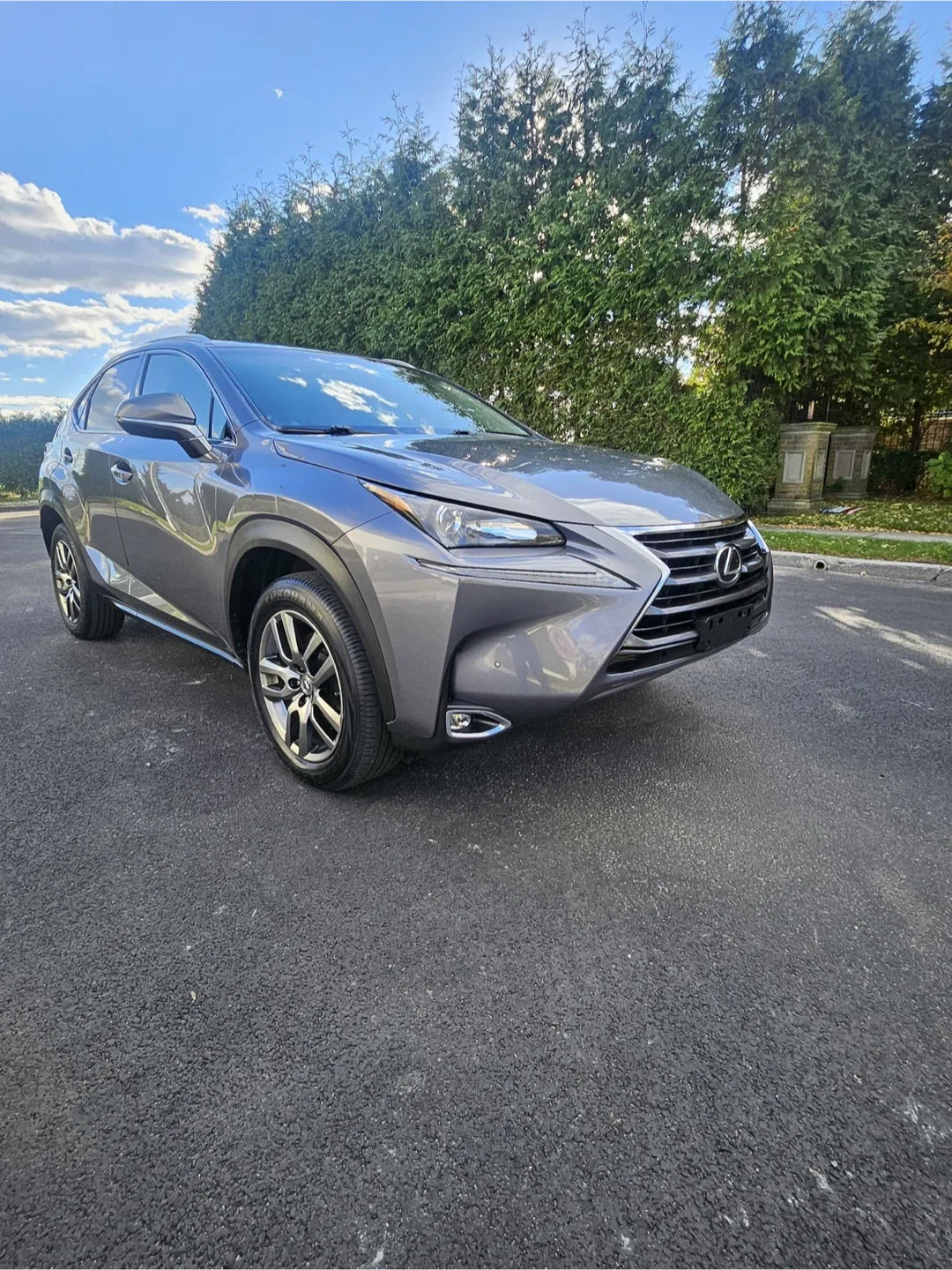 2016 Lexus NX 200 T image indicator(2)