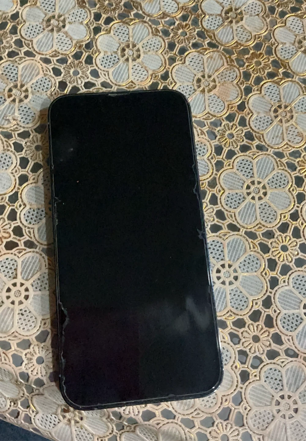 iPhone 13 Pro Max - photo 2