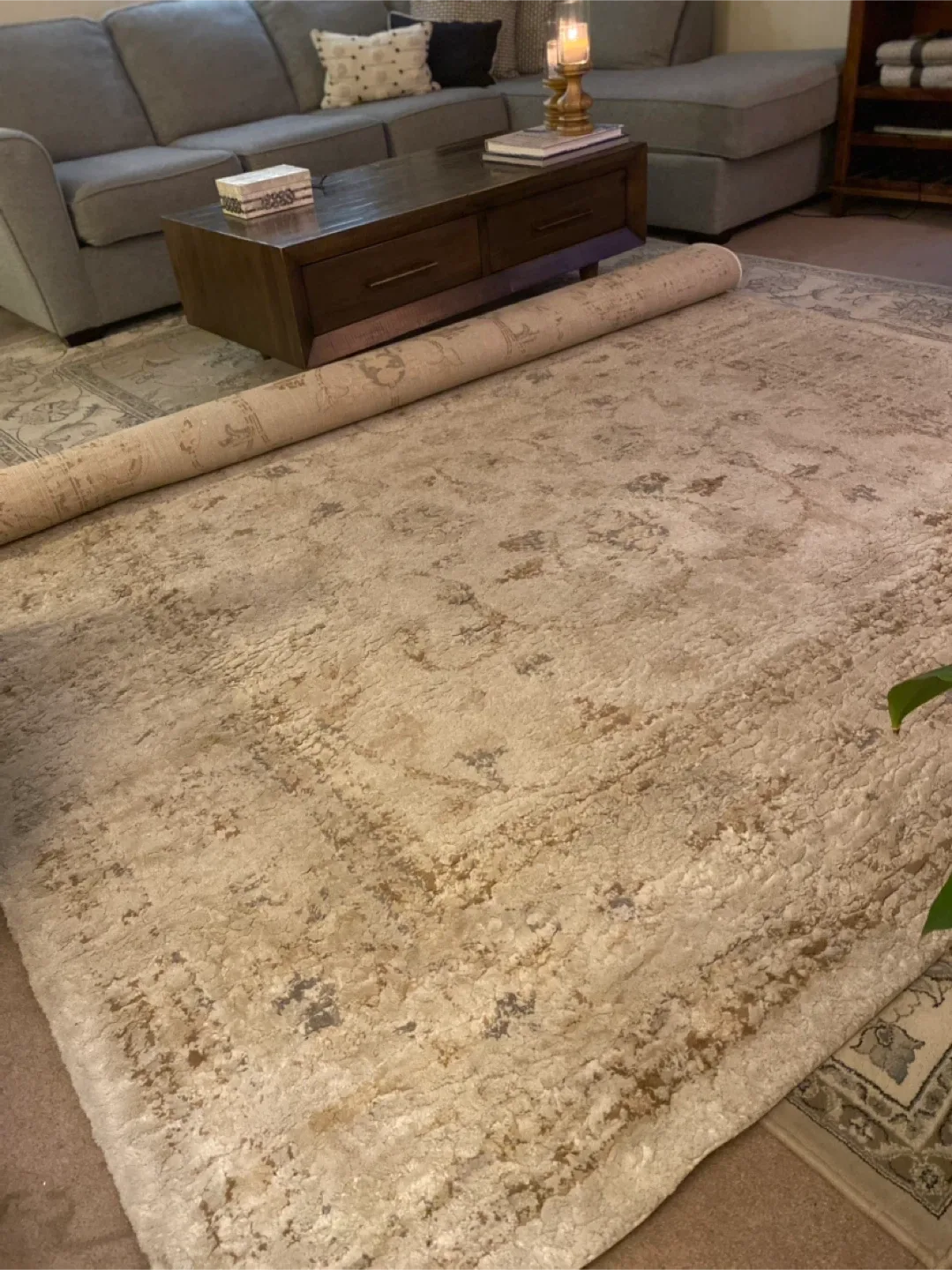 Area Rug-Thick pile,Neutral Tones.