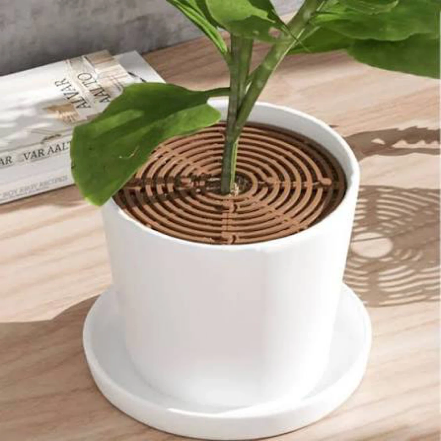 Plant Pot Soil Cover Protector 19cm diameter