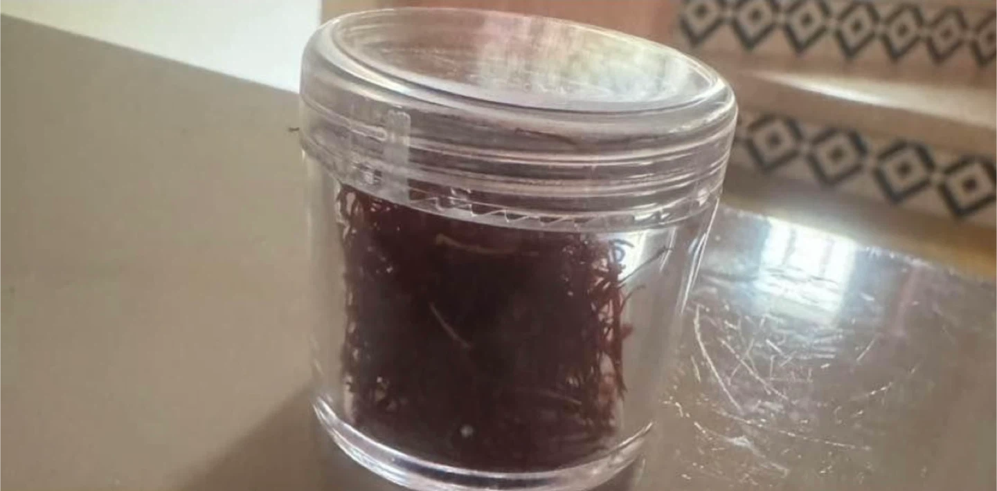 Saffron threads in jar