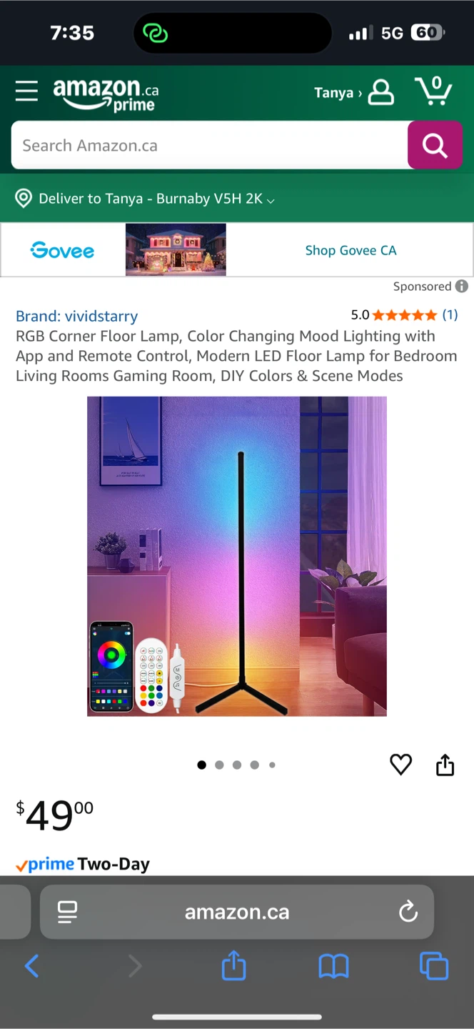 vividstarry RGB Corner Floor Lamp