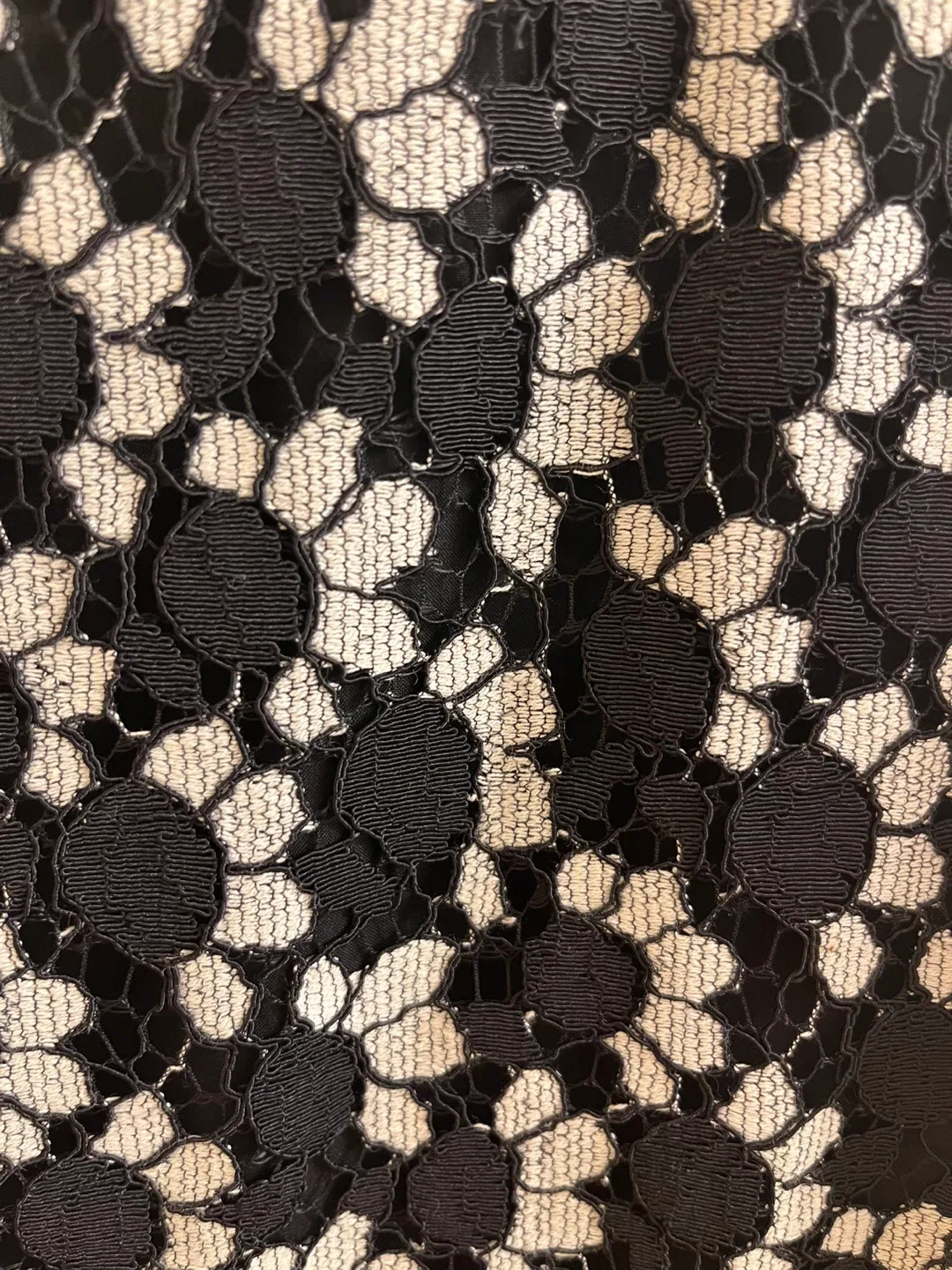 Tommy Hilfiger Black & White Lace Dress image indicator(3)