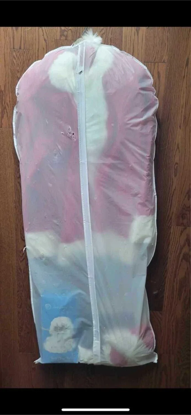 Here comes Santa! image indicator(5)