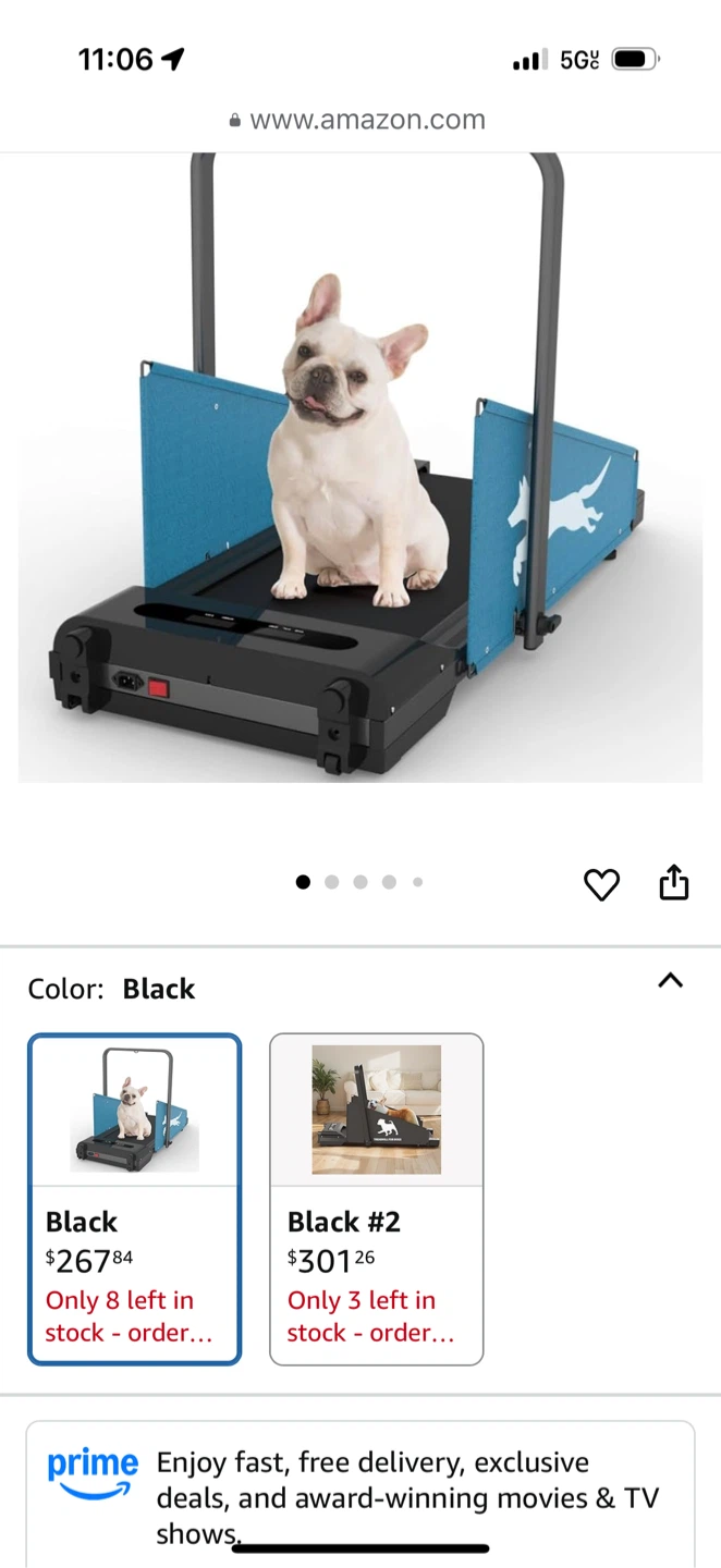 Dog Treadmill - Small Dogs - photo 2