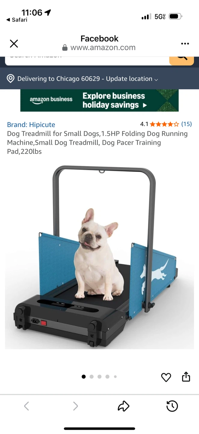 Dog Treadmill - Small Dogs