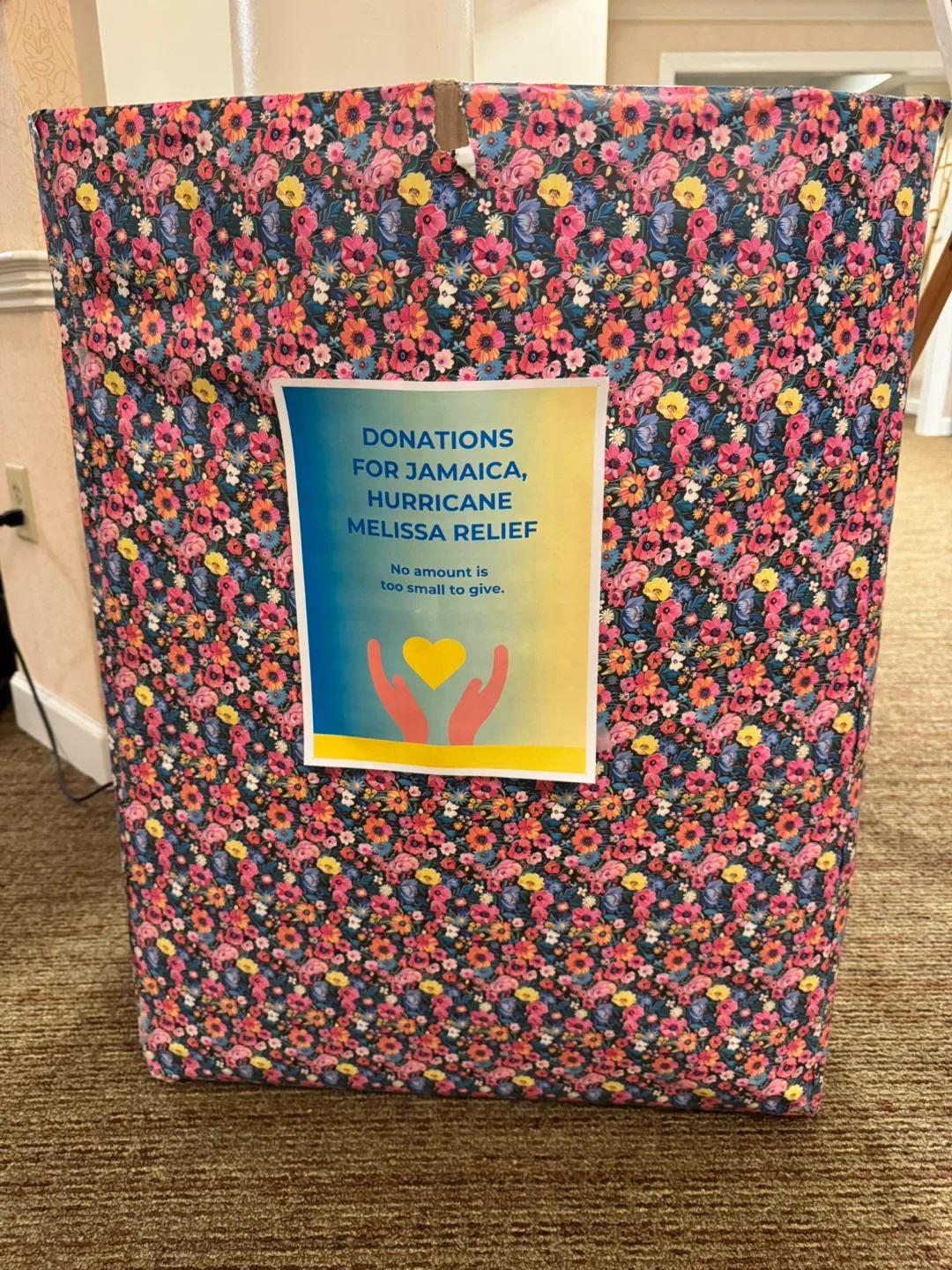 Hurricane Melissa relief image indicator(2)