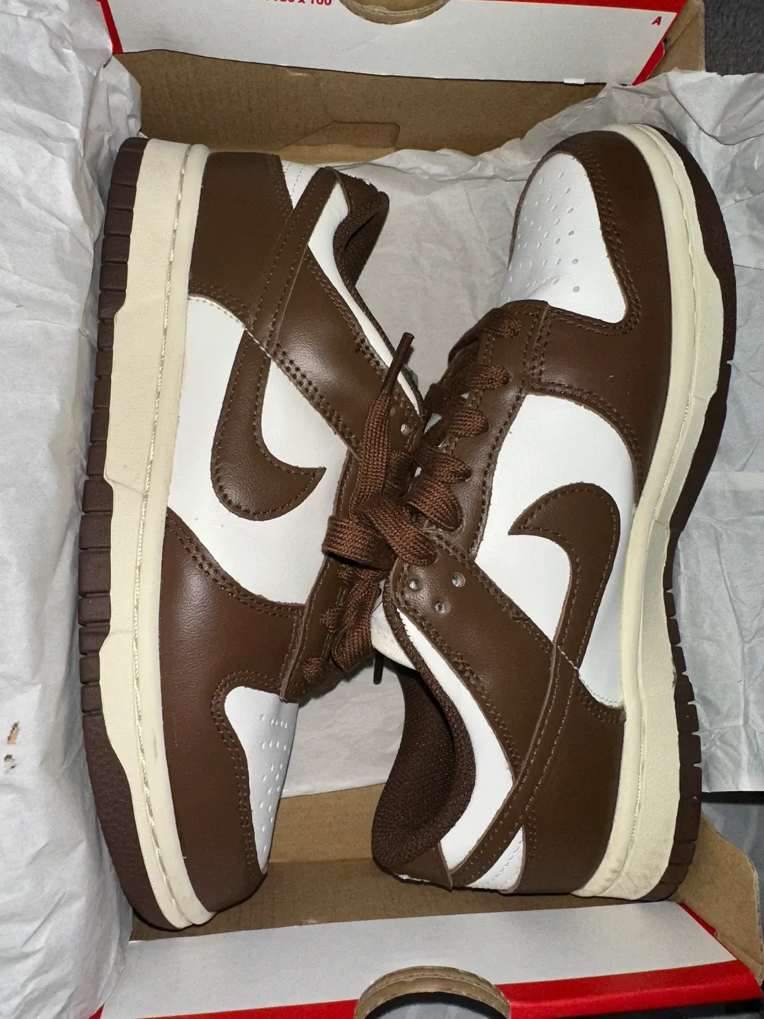 Nike Dunk ‘CACAO WOW’