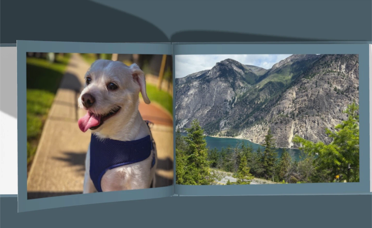 Customized Photobooks - photo 5