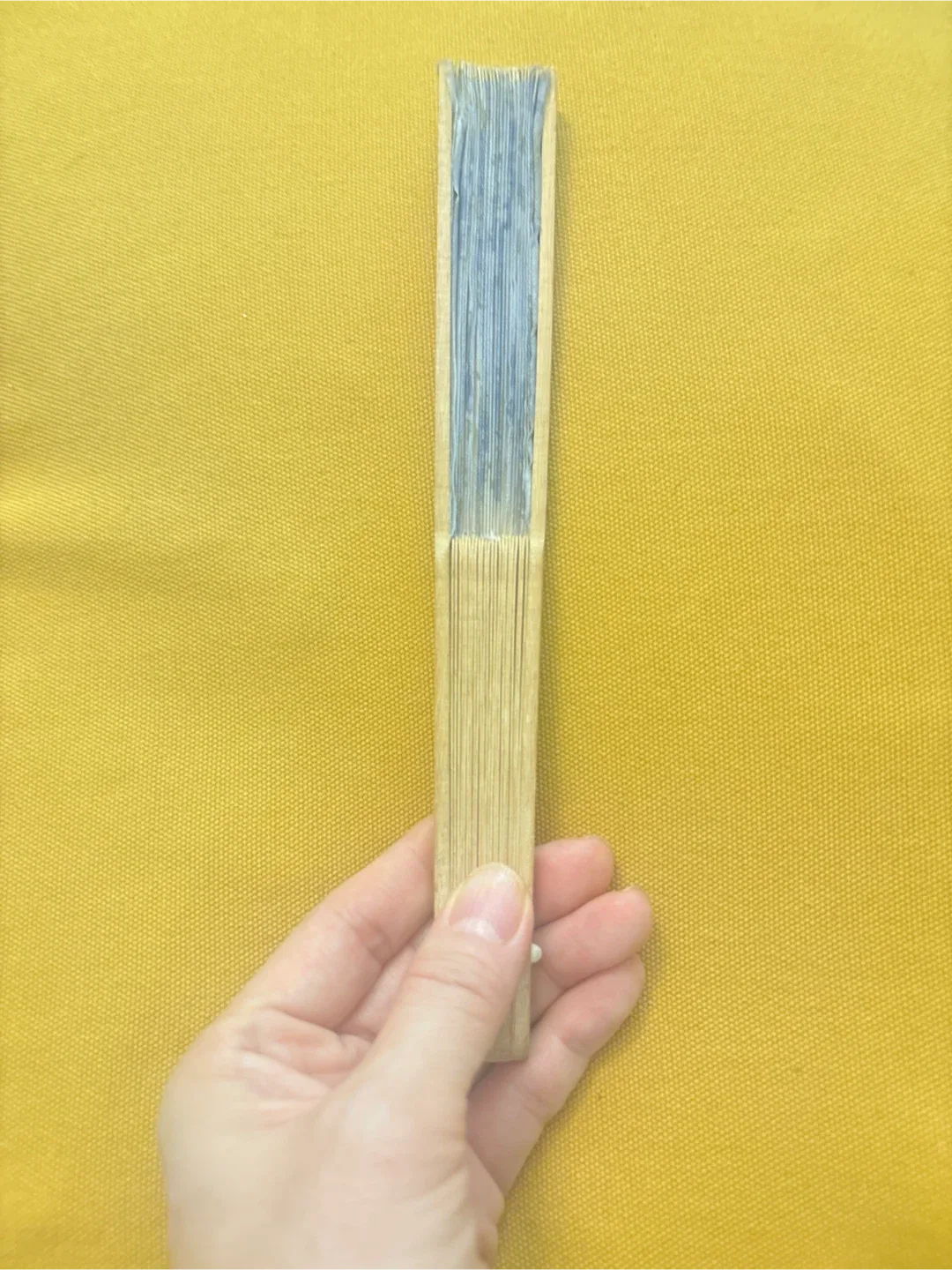 New) Floral Hand Fan 🥕 image indicator(2)