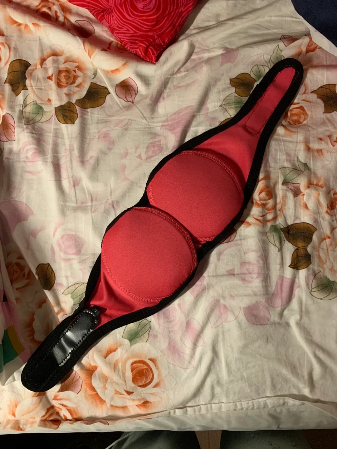 Dog Earmuffs - Size L image indicator(2)