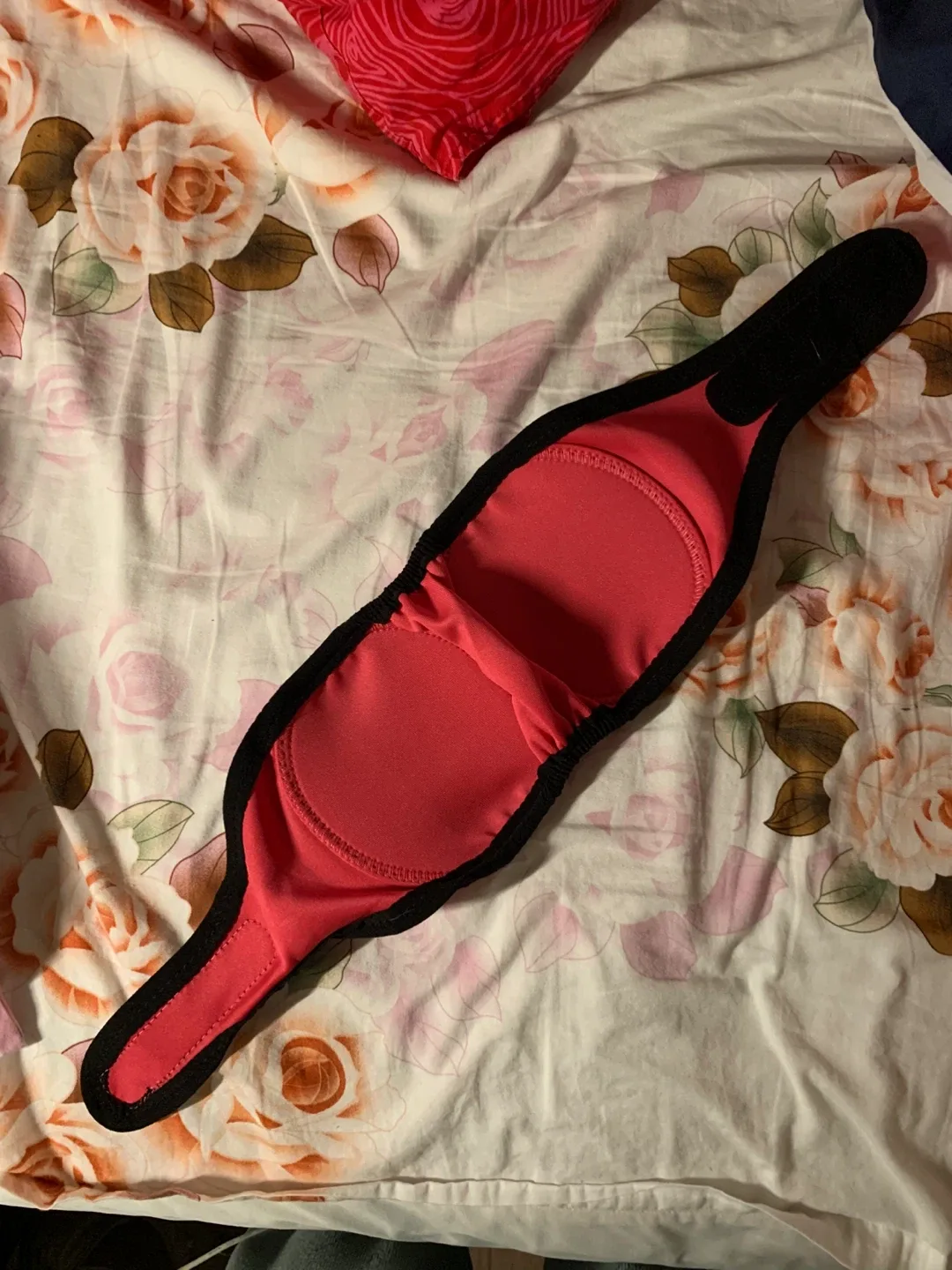 Dog Earmuffs - Size L image indicator(3)