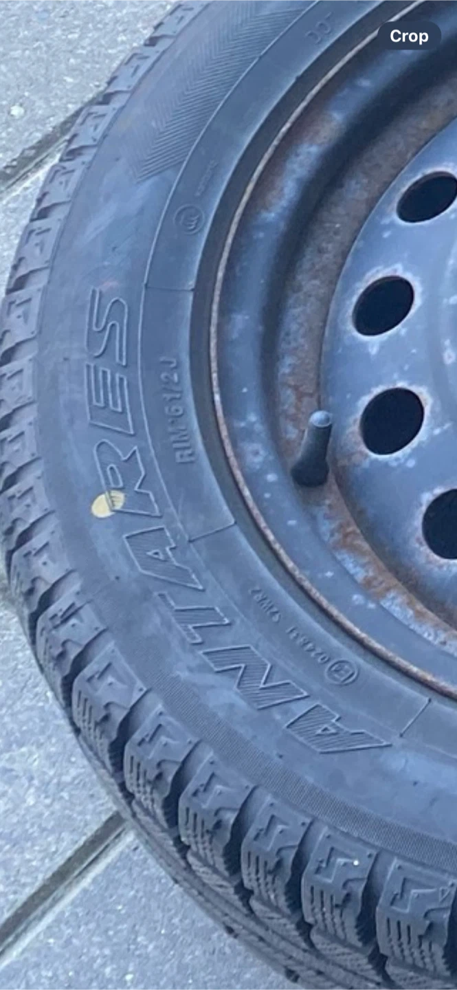 Antares Winter Tires - Set of 4