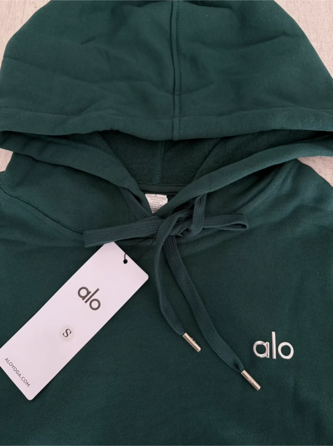 ALO Accolade Hoodie - Winter Ivy, Small image indicator(3)