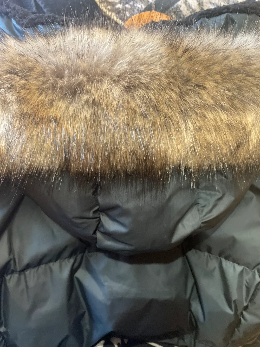 Eddie Bauer Cascade Down Parka - Women's 1X image indicator(7)