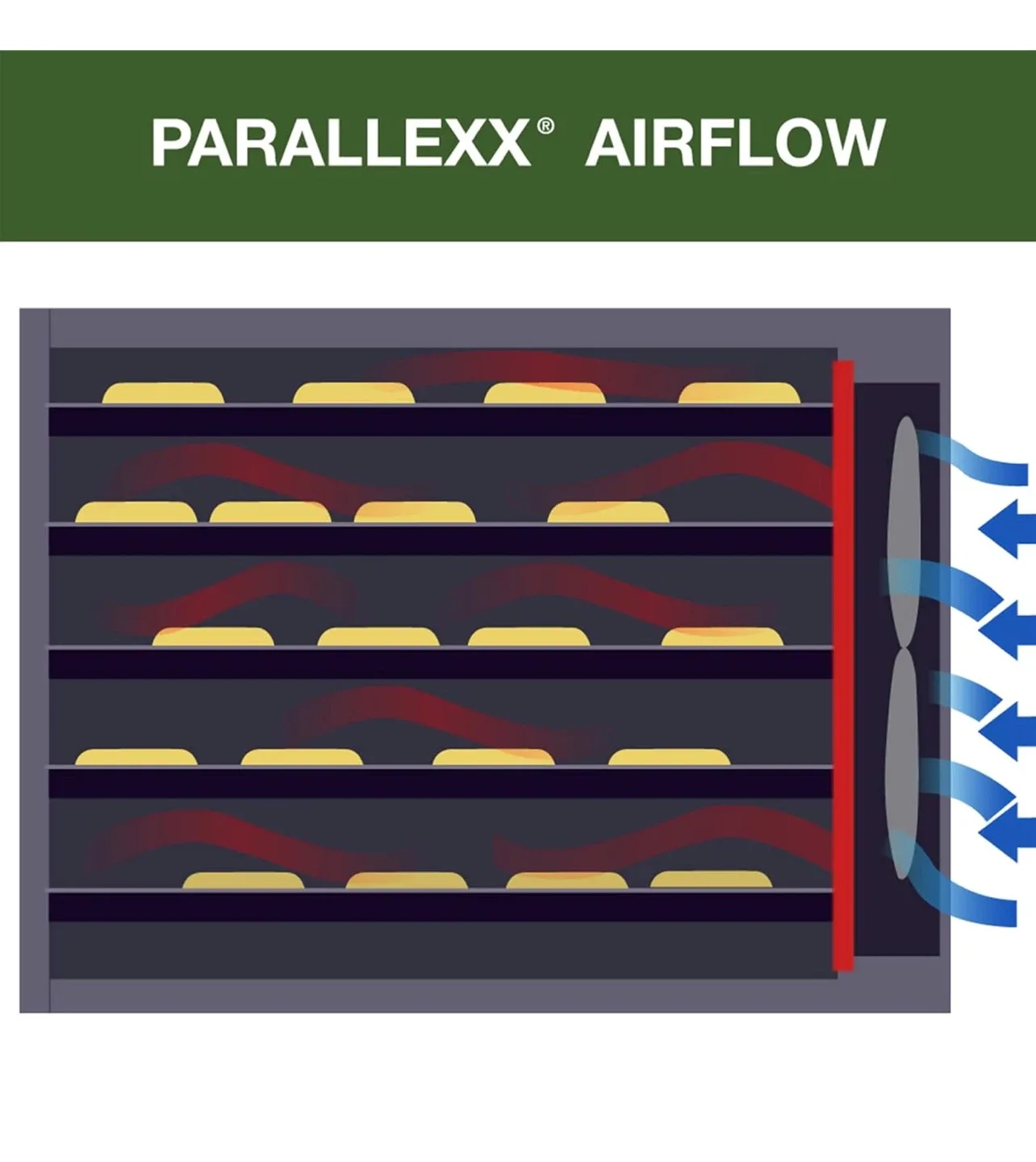 Excalibur Food Dehydrator, 9-Tray image indicator(3)