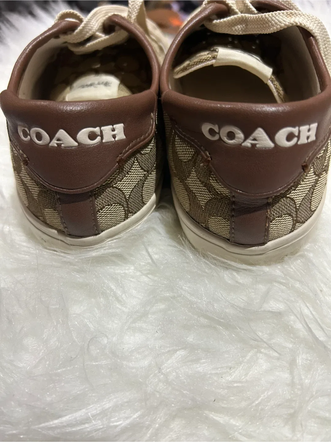 Coach Sneakers image indicator(3)