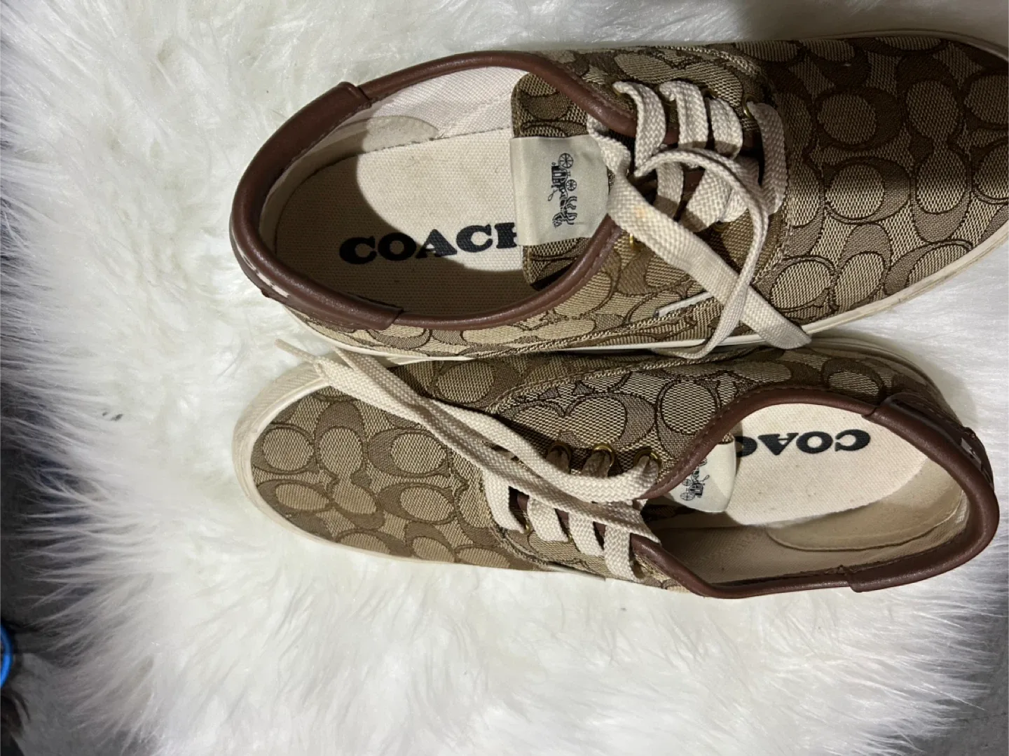 Coach Sneakers image indicator(2)