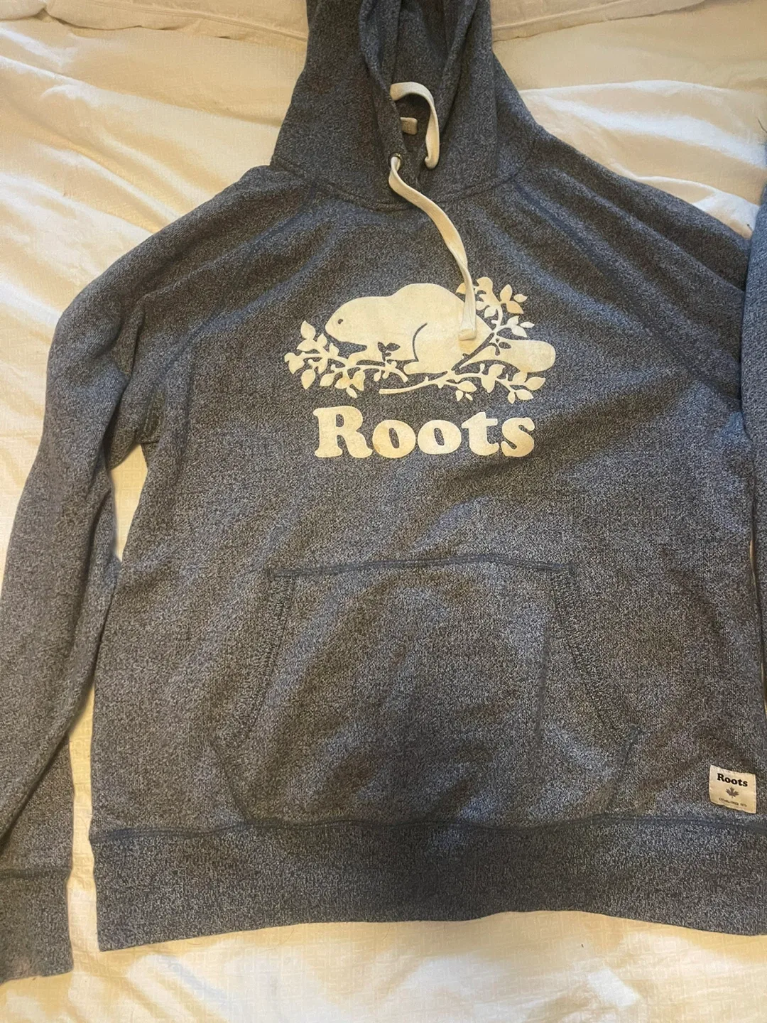Roots Grey Hoodie and Sweatpants Set - Size L image indicator(5)