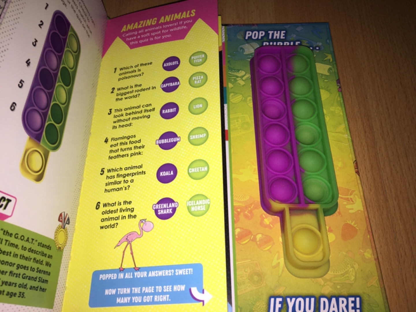 Klutz Pop It! Challenge Activity Book - photo 3