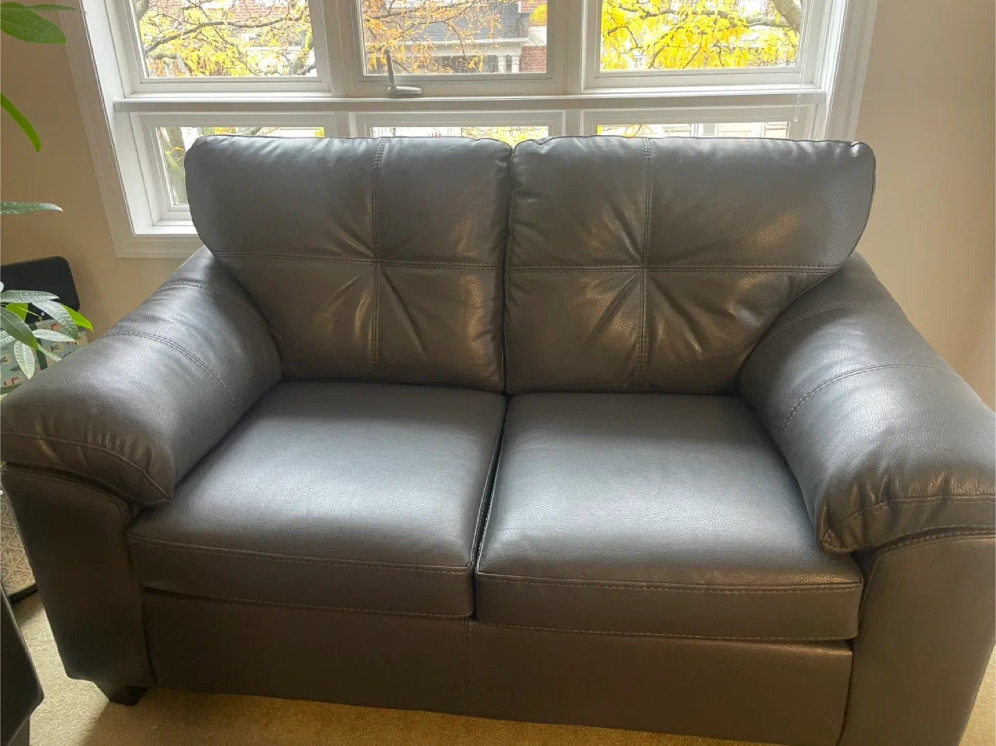 Leather Loveseat & Sofa Set - Grey image indicator(3)