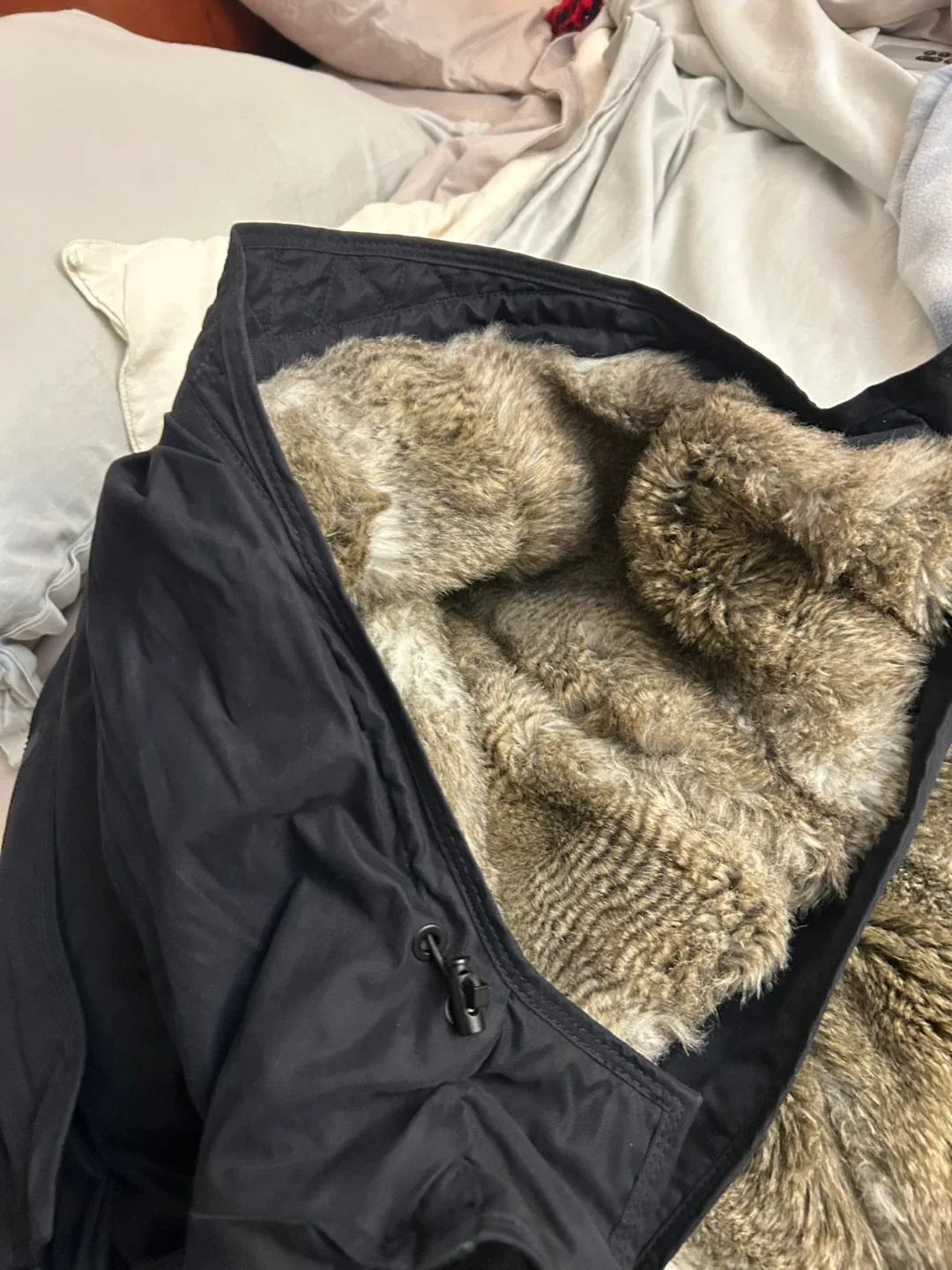 Babaton Black Winter Coat - Size M image indicator(4)