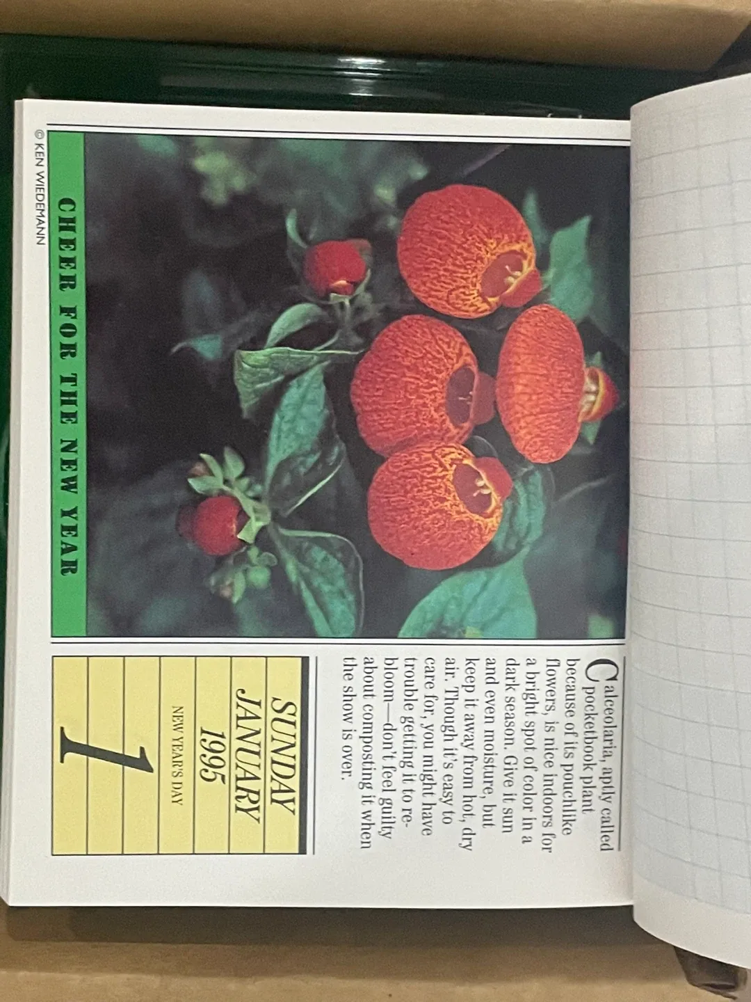 Lot of Various Books image indicator(5)