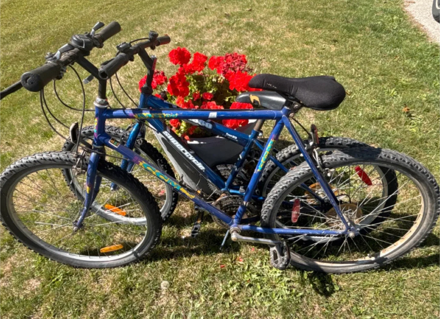 Mixed Lot of Used Bicycles image indicator(5)