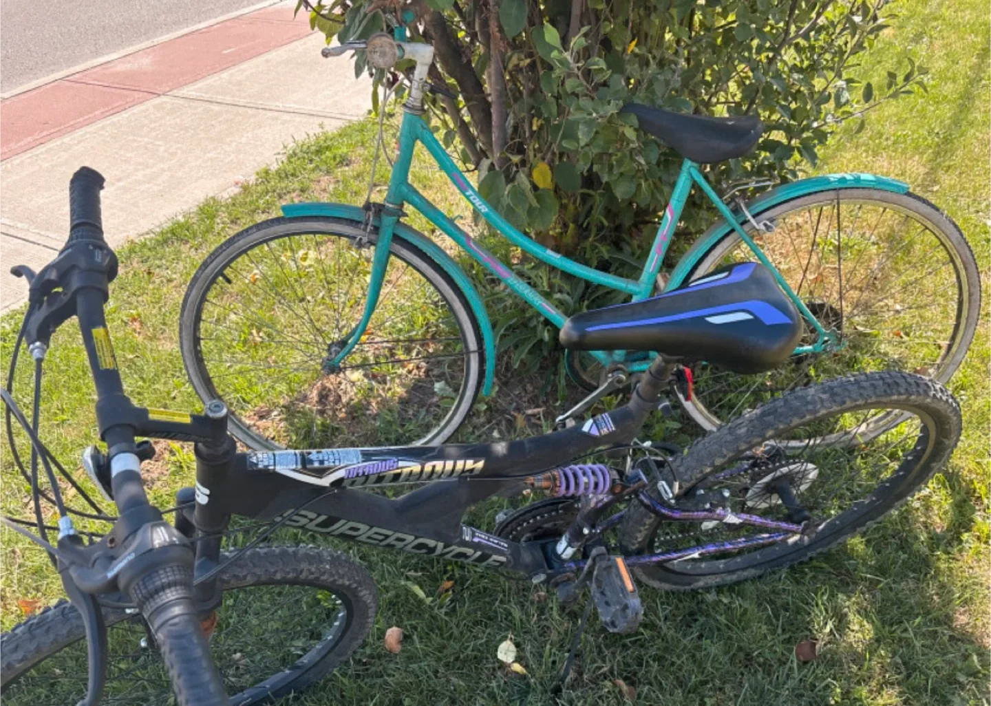 Mixed Lot of Used Bicycles image indicator(2)