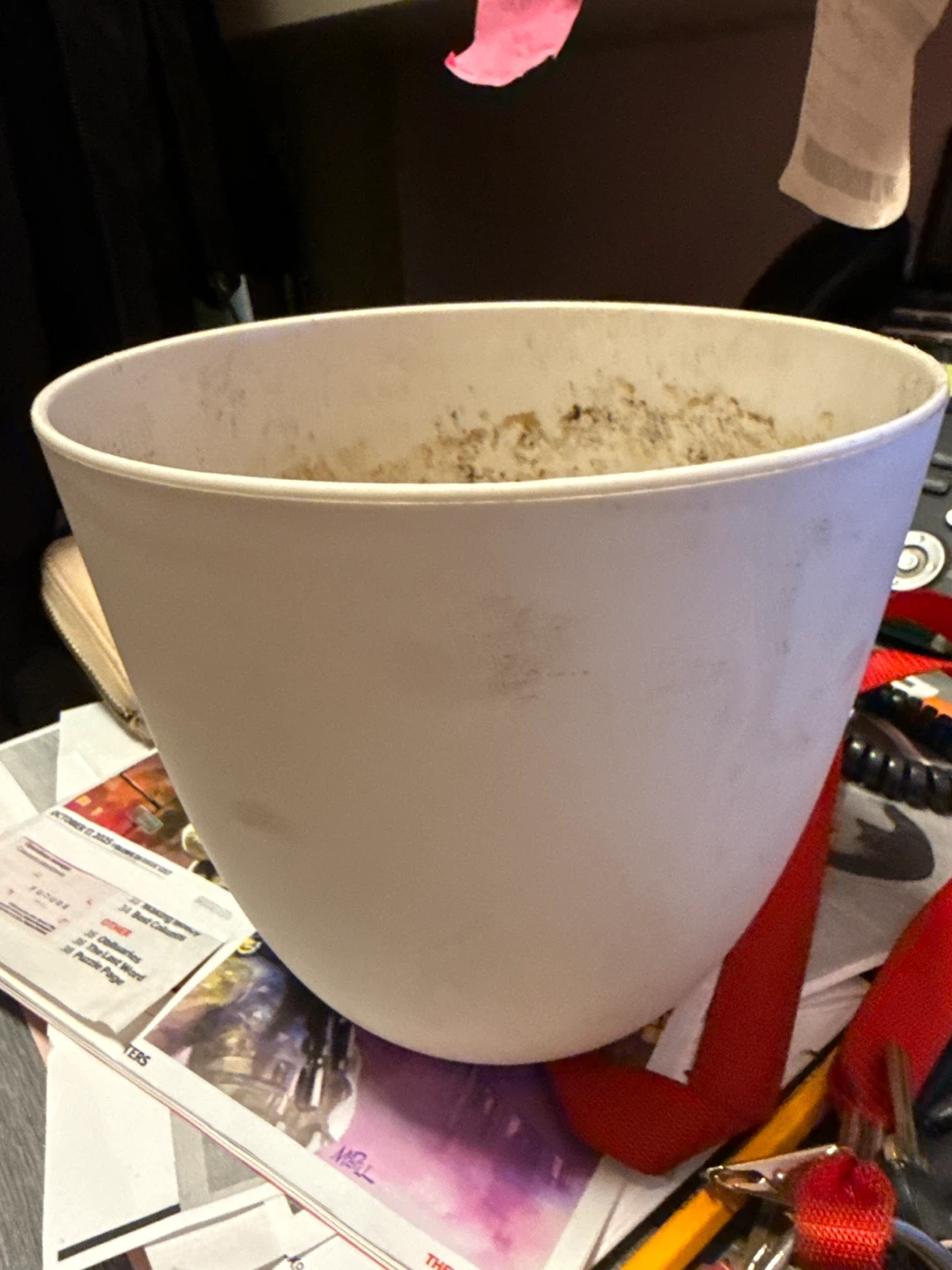 🥕 White Planter & cream