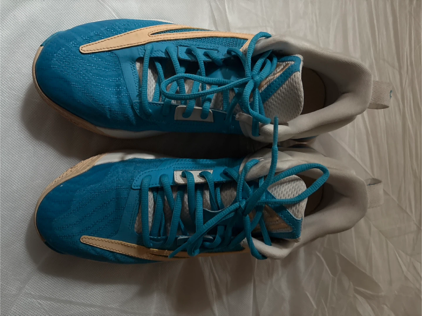 Nike DZ7533-002 Blue/White Shoes US 9.5