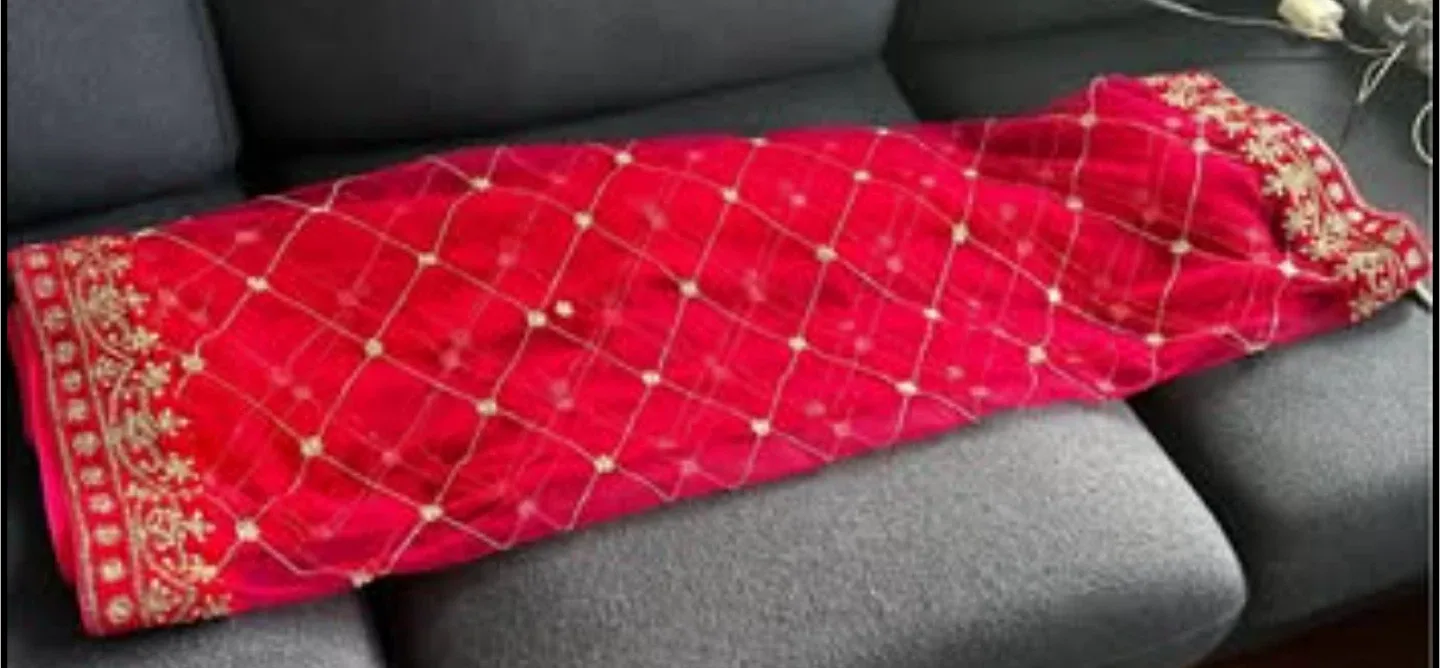 Red Embroidered Lehenga Set image indicator(4)